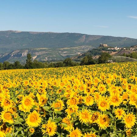 Serre Des Ormes - Cycling, Walking & Running Retreat Salerans Exterior photo