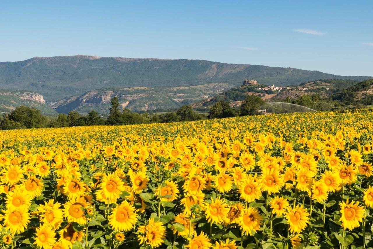 Serre Des Ormes - Cycling, Walking & Running Retreat Salerans Exterior photo